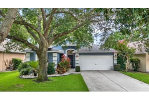 805 STRAW LAKE DRIVE, BRANDON, FL 33510 - MLS#MFRTB8514244