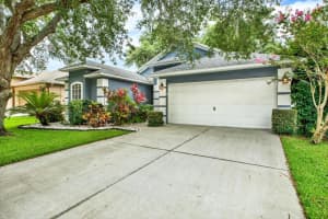 805 STRAW LAKE DRIVE, BRANDON, FL 33510 - MLS#MFRTB8514244