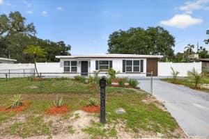4019 MCLANE DRIVE, TAMPA, FL 33610 - MLS#MFRTB8514285