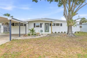 529 Firefly Ln, APOLLO BEACH 529 Firefly Ln, APOLLO BEACH