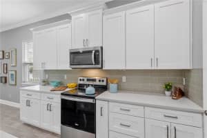 2524 LAKE ELLEN LANE, TAMPA, FL 33618 - MLS#MFRTB8514334