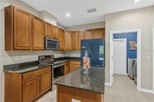 10859 BREAKING ROCKS DRIVE, TAMPA, FL 33647 - MLS#MFRTB8514335