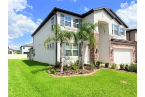 11131 SUNDRIFT DRIVE, TAMPA, FL 33647 - MLS#MFRTB8514352