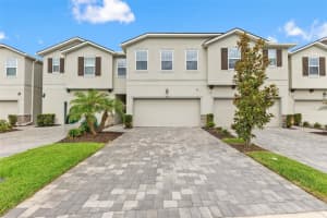 4221 CLOUD HOPPER WAY, LUTZ, FL 33559 - MLS#MFRTB8514451
