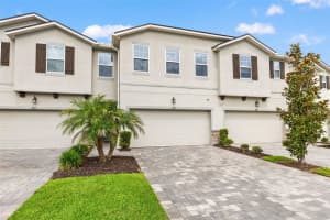 4221 CLOUD HOPPER WAY, LUTZ, FL 33559 - MLS#MFRTB8514451