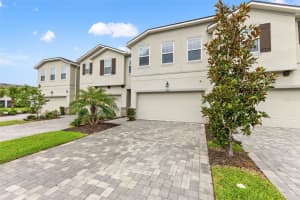 4221 CLOUD HOPPER WAY, LUTZ, FL 33559 - MLS#MFRTB8514451