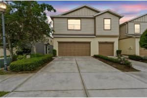 5017 White Sanderling Ct, TAMPA 5017 White Sanderling Ct, TAMPA