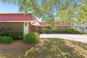 207 SHERRILL STREET, TAMPA, FL 33609 - MLS#MFRTB8514515