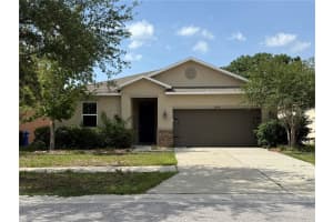 10638 Laguna Plains Dr, RIVERVIEW