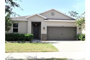 10638 LAGUNA PLAINS DRIVE, RIVERVIEW, FL 33578 - MLS#MFRTB8514541