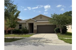 10638 LAGUNA PLAINS DRIVE, RIVERVIEW, FL 33578 - MLS#MFRTB8514541