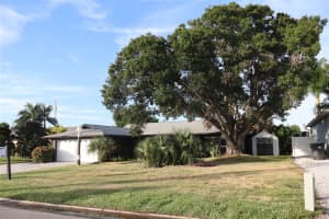 1019 SPINDLE PALM WAY, APOLLO BEACH, FL 33572 - MLS#MFRTB8514547