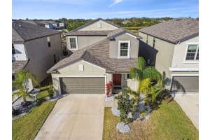 5452 RAINWOOD MEADOWS DRIVE, APOLLO BEACH, FL 33572 - MLS#MFRTB8514552