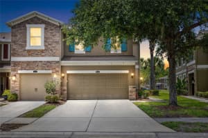 12589 STREAMDALE DRIVE, TAMPA, FL 33626 - MLS#MFRTB8514577
