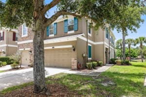 12589 STREAMDALE DRIVE, TAMPA, FL 33626 - MLS#MFRTB8514577