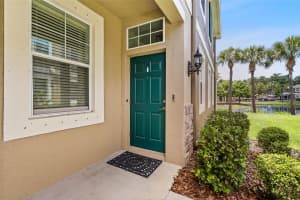 12589 STREAMDALE DRIVE, TAMPA, FL 33626 - MLS#MFRTB8514577