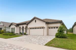 14537 SWISS BRIDGE DRIVE, LITHIA, FL 33547 - MLS#MFRTB8514732