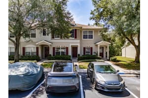 15911 FISHHAWK VIEW DRIVE, LITHIA, FL 33547 - MLS#MFRTB8514768