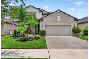 13242 Satin Lily Dr, RIVERVIEW