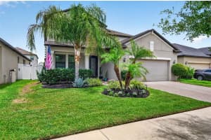 13242 SATIN LILY DRIVE, RIVERVIEW, FL 33579 - MLS#MFRTB8514777