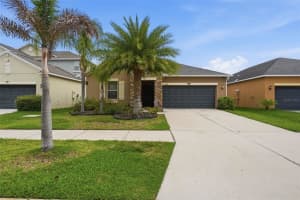 11804 VALHALLA WOODS DRIVE, RIVERVIEW, FL 33579 - MLS#MFRTB8514819