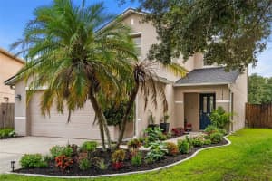 11913 MANGO GROVES BOULEVARD, SEFFNER, FL 33584 - MLS#MFRTB8514830