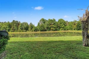 26838 JUNIPER BAY DRIVE, WESLEY CHAPEL, FL 33544 - MLS#MFRTB8514836