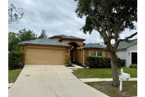 4707 RAMSHEAD DRIVE, VALRICO, FL 33594 - MLS#MFRTB8514902