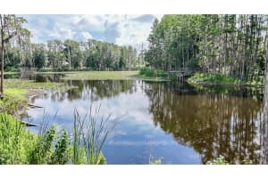 2610 CABOT ROAD, LAND O LAKES, FL 34639 - MLS#MFRTB8514910
