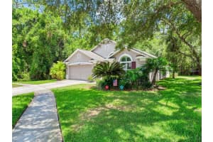 12502 BLAZING STAR DRIVE, TAMPA, FL 33626 - MLS#MFRTB8514924