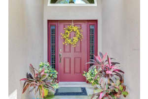 12502 BLAZING STAR DRIVE, TAMPA, FL 33626 - MLS#MFRTB8514924
