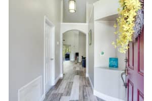 12502 BLAZING STAR DRIVE, TAMPA, FL 33626 - MLS#MFRTB8514924