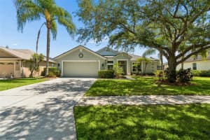 8332 TORRINGTON AVENUE, TAMPA, FL 33647 - MLS#MFRTB8514932