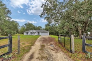 13931 25TH STREET, MORRISTON, FL 32668 - MLS#MFRTB8514991