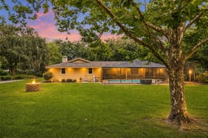 7809 PINEVIEW DRIVE, ODESSA, FL 33556 - MLS#MFRTB8515015