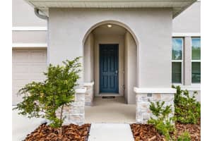 13090 BROOKSIDE MOSS DRIVE, RIVERVIEW, FL 33579 - MLS#MFRTB8515042