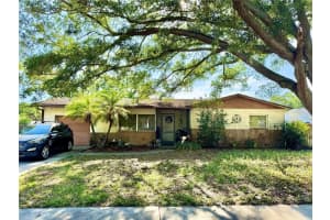 1406 Pineapple Ln, CLEARWATER 1406 Pineapple Ln, CLEARWATER