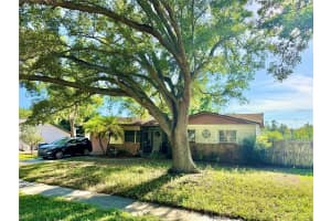 1406 PINEAPPLE LANE, CLEARWATER, FL 33759 - MLS#MFRTB8515074