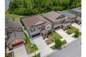 8755 FLOURISH DRIVE, LAND O LAKES, FL 34637 - MLS#MFRTB8515081