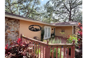 13828 FRIENDSHIP LANE, ODESSA, FL 33556 - MLS#MFRTB8515104