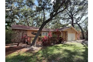 13828 FRIENDSHIP LANE, ODESSA, FL 33556 - MLS#MFRTB8515104