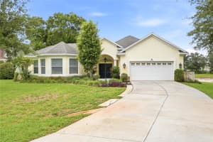 19930 DOLORES ANN COURT, LUTZ, FL 33549 - MLS#MFRTB8515133