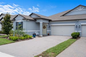 10093 CAMPANULA COURT, LAND O LAKES, FL 34637 - MLS#MFRTB8515167