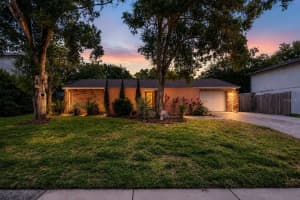 8235 Vassar Cir, TAMPA