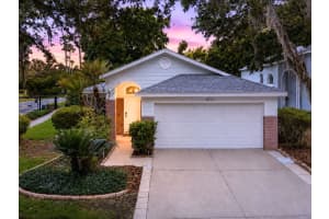 16002 Robey Ct, TAMPA