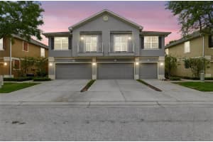 6734 Breezy Palm Dr, RIVERVIEW 6734 Breezy Palm Dr, RIVERVIEW