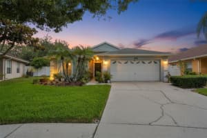 5646 TUGHILL DRIVE, TAMPA, FL 33624 - MLS#MFRTB8515202