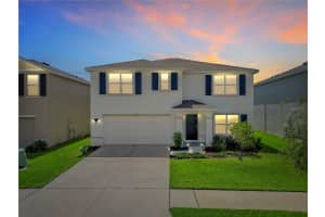 16531 WINDMILL FORGE PASS, WIMAUMA, FL 33598 - MLS#MFRTB8515237