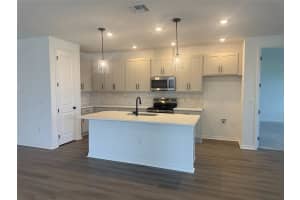 30157 MISTY PINES ROAD, MOUNT DORA, FL 32757 - MLS#MFRTB8515264