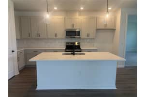 30157 MISTY PINES ROAD, MOUNT DORA, FL 32757 - MLS#MFRTB8515264